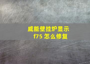 威能壁挂炉显示f75 怎么修复